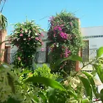 Kriss Hotell Ortakent